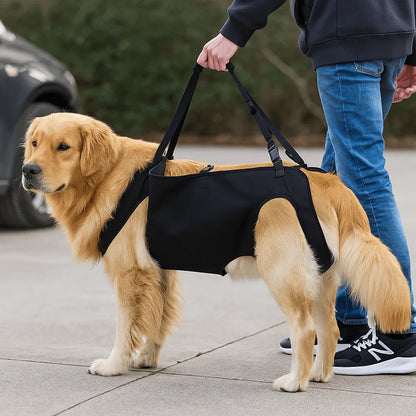 Harnais Chien Ergonomique pour Grands Chiens avec Confort Optimal | Aide au Levage et à la Mobilité 7